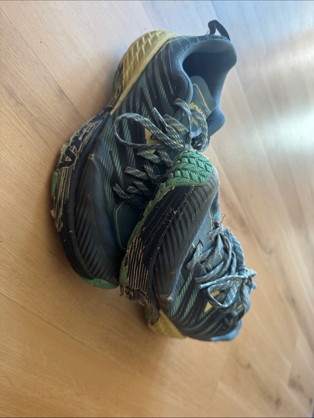 Hoka Speedgoat 4
